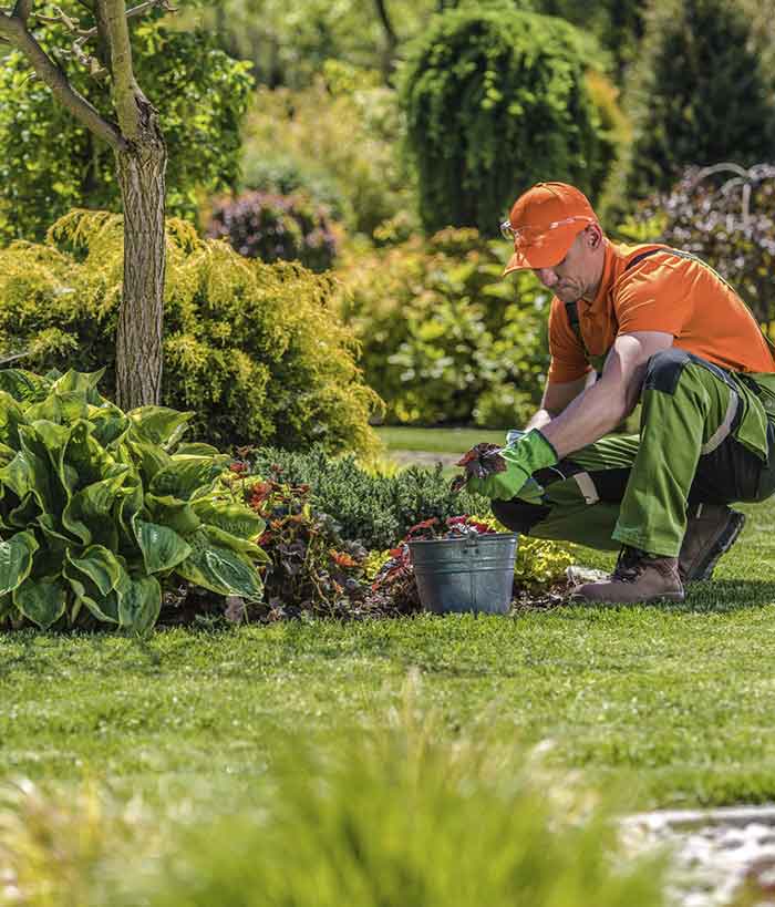 Hombre renovando jardín